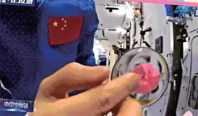 绽放在太空的小花儿3