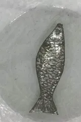 指南针与航海4