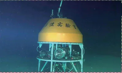 完成太空旅行的水稻和拟南芥回家啦等1