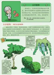 大侠最爱用的毒药是什么?7