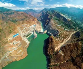 完成太空旅行的水稻和拟南芥回家啦等6