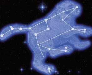 星官、星宿与星座4