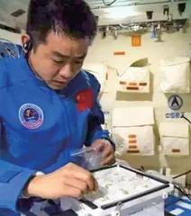 太空“种菜”什么体验?神十四航天员告诉你2