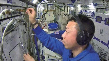 太空“种菜”什么体验?神十四航天员告诉你3