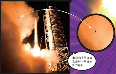 航天场里, 动物也疯狂!8