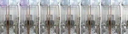 太空“种菜”什么体验?神十四航天员告诉你6