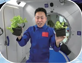 在空间站里“种菜”有什么不一样?1