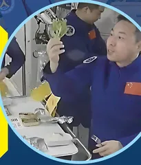 在空间站里“种菜”有什么不一样?7
