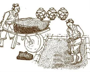 神奇微生物:从发酵食品到青霉素2
