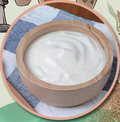 神奇微生物:从发酵食品到青霉素3