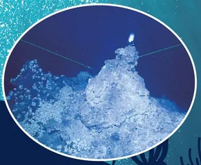 深海中的生命会发光?3