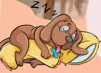 猫狗也会做梦和失眠4