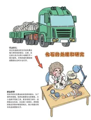 化石是如何开采的？2