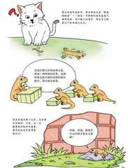 为什么壁虎的断尾能再生？1