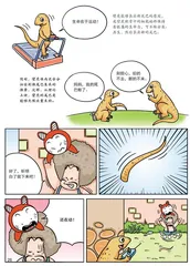 为什么壁虎的断尾能再生？2