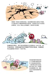 为什么海水突然退去是危险的信号2