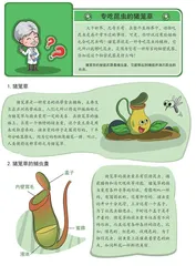 什么植物会吃鱼?3