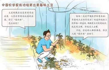 沙尘暴席卷全球,有人失踪等2