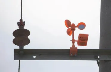 电网与鸟4
