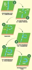 牛轭湖:从河流到湖泊3