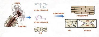 可以建房子的“超级胶水”1