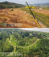 多样植被:气候家族的“活跃成员”2