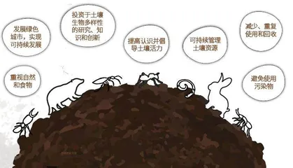 土壤生物多样性:地球演化的引擎2