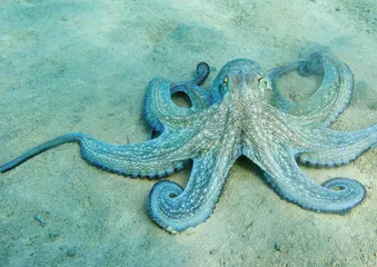 前沿