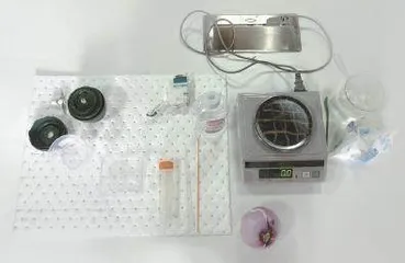 看见DNA