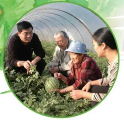 戈壁滩上的科学明珠:吴明珠1