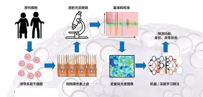 未来医疗的“新大门”:定制化干细胞6