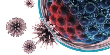 人体微生物王国的奇妙探索2