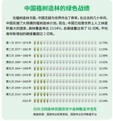 种1万亿棵树,能逆转气候变化吗? 2