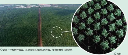 恢复受损星球的钥匙3