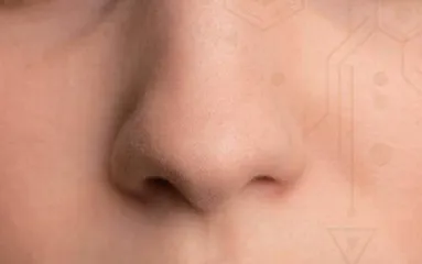 人类两个鼻孔的嗅觉各有不同