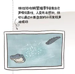 来! 听恐龙“唱歌”4