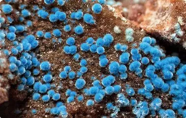 只此青绿,含铜次生矿物的花花世界10