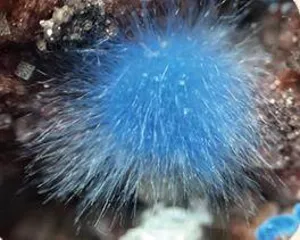 只此青绿,含铜次生矿物的花花世界11