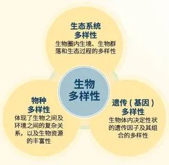 多样生命 多彩世界1