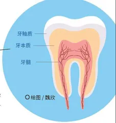 一天中的百变化学1