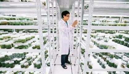 种子库:保护植物多样性的“诺亚方舟”3