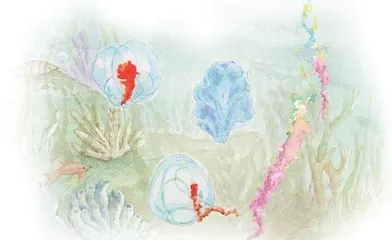 管水母2