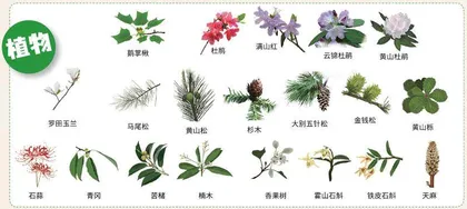 去大别山找“大别”4