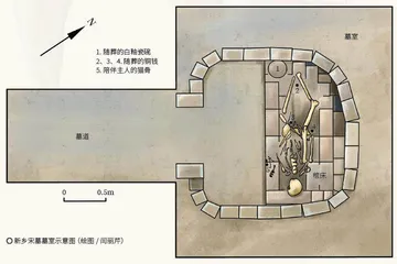识骨寻踪推理古代动物身份