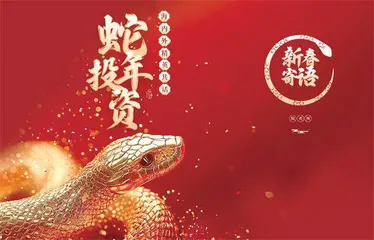 海内外精英共话蛇年投资