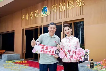 桃花笑春风,相约醉亳州第七届古井贡酒桃花春曲节盛大举行1