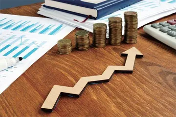 三季报掘金路径图
