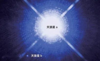 星光调色盘2