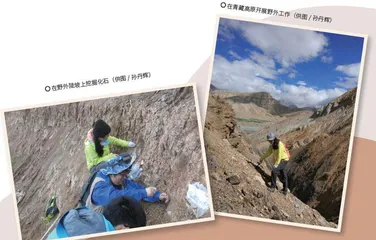 少年古生物学家养成记