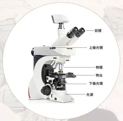 显微镜下的岩石世界